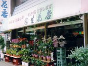 「丸福生花店」　（長崎県五島市）の花屋店舗写真1