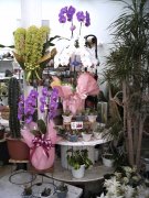 「丸福生花店」　（長崎県五島市）の花屋店舗写真2